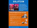 Artelus_AI_Retinal_Screening_Case_Study