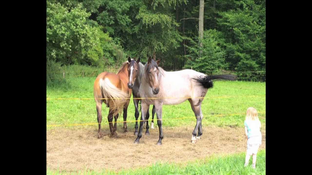 Germany`s Wonderful Hunsrück - Rhaunen and Stipshausen in 2009