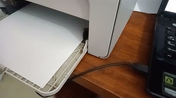 Sửa lỗi máy in giấy lề dưới to hơn lề trên 2900… 1300