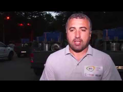 თერმული ნისლით დამუშავება