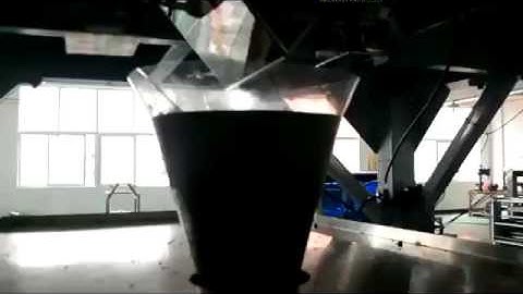 1000g Rice Packing Video from Wilpac