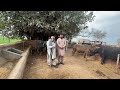 Karobar da mushwra by aslam khan waqar to anjum saroya how to feed  fatting animal