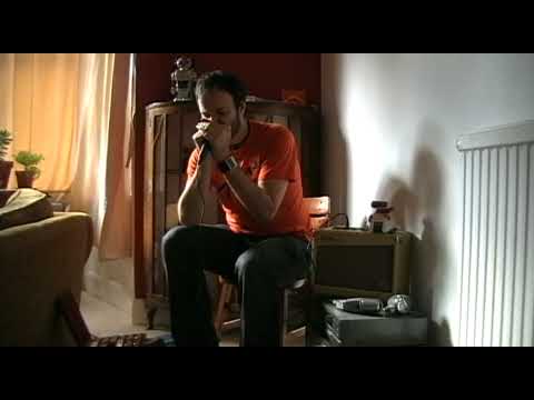Dual-z Harp Mic from Honkin' Harmonica Shop