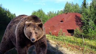 Нло В Тайге. Встреча С Медведем. Авиакатастрофа - Чуть Не Потерял Коптер. Хариус. Одиночный Поход.