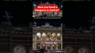 Have you found a kangaroo in Austria? #timelapse #hyperlapse #vienna #austria #wien #kangaroo