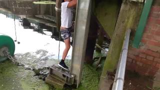 Funny fishing video .Boston marina