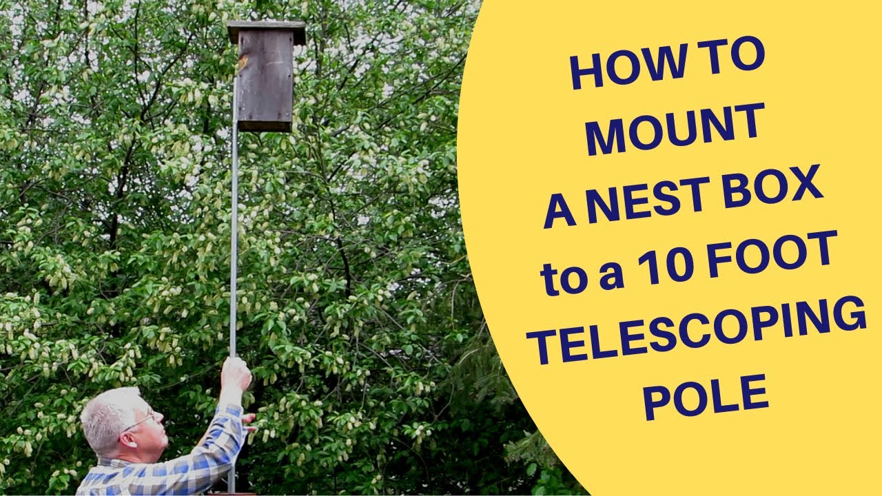 How to Mount a Nest Box on a 10 foot telescoping pole made of conduit 2019  