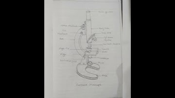 11 th class science Journal practical book | biology experiment no.1.