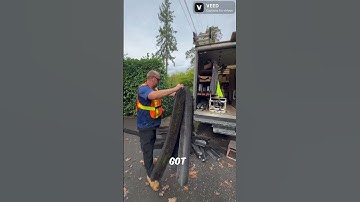 Incredible fail #shorts #youtubeshorts #subscribe #fail #amazing #gutter