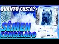 🥶RESGATANDO CÃES EXTINTOS COM SÊMEN CONGELADO HÁ 10 ANOS