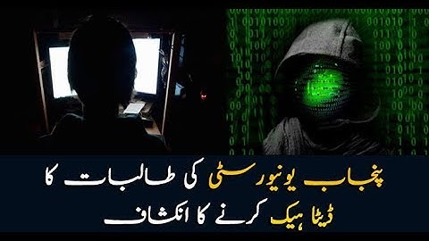 Punjab university student