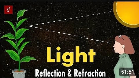 Light Reflection and Refraction class 10 full chapter (Animation) | Class 10 Science Chapter 6 | 