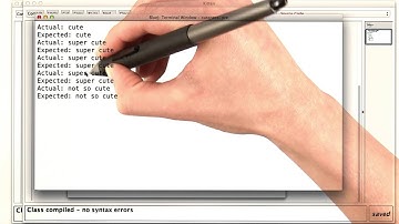 Cutest Kitten - Intro to Java Programming