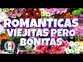 Las 100 Canciones Viejitas Romanticas Baladas Románticas del Ayer Viejitas del Recuerdo