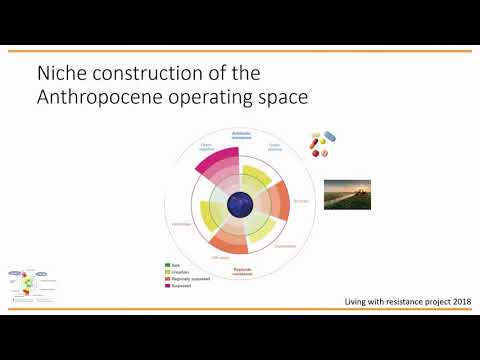 The Planetary Boundaries