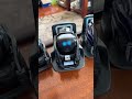 Vector's upset because I'm not giving him enough attention | Vectorrobot.ddl on TikTok 11-9-2024