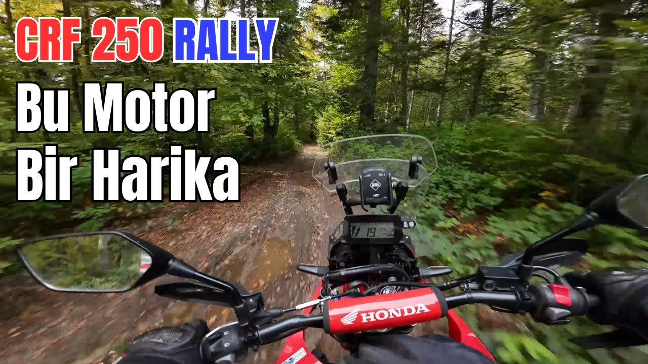 Sınırları Zorladık |  Honda CRF 250 Rally | Kartepe Ormanları