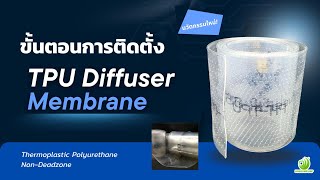ขั้นตอนติดตั้ง TPU Diffuser Membrane - BOSUMPUMP