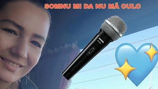 Ramona Zia șoferiță de TIR-  Somnu mi da nu mă culc 🎤 cover Sava Negrean
