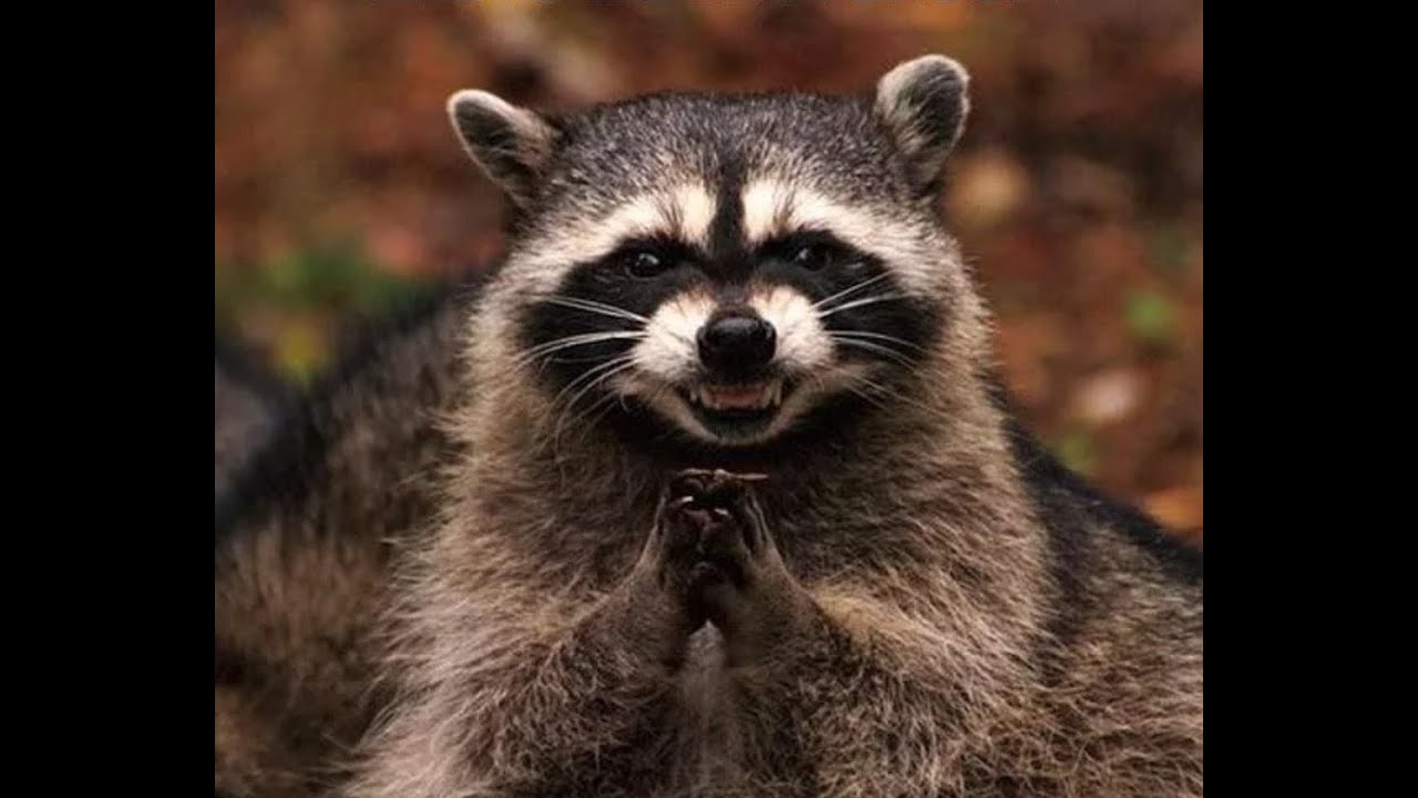 О смелости - YouTube