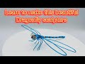 How to make a dragonfly with wire