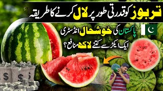 Watermelon Business in Pakistan Explained | Kissan Ka Pakistan | Discover Pakistan