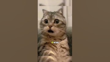 Bản thiết kế tuyệt vời của anh thợ điện.#shorts