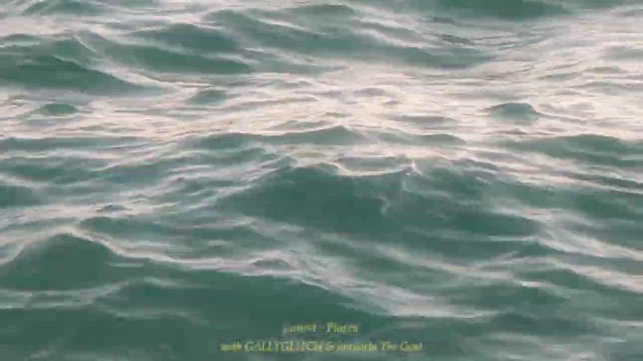 Watch jamest - Places (with GALLYGLITCH & Januarta The Goat) Visualizer on YouTube Watch jamest - Places (with GALLYGLITCH & Januarta The Goat) Visualizer on YouTube