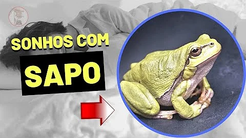 O que quer dizer sonhar com sapo?