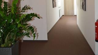 Pension zur Traube, Bergheim, Germany | Travel With Mishka