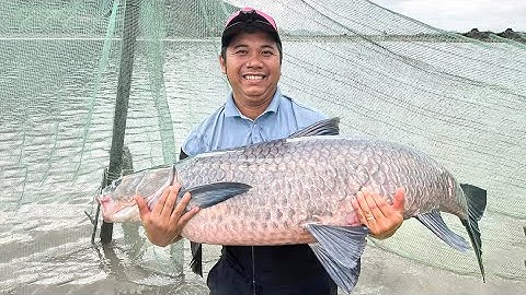 Săn Hàng Tự Nhiên | Săn Cá Trắm Đen Khủng Đập Ka La, Di Linh, Lâm Đồng