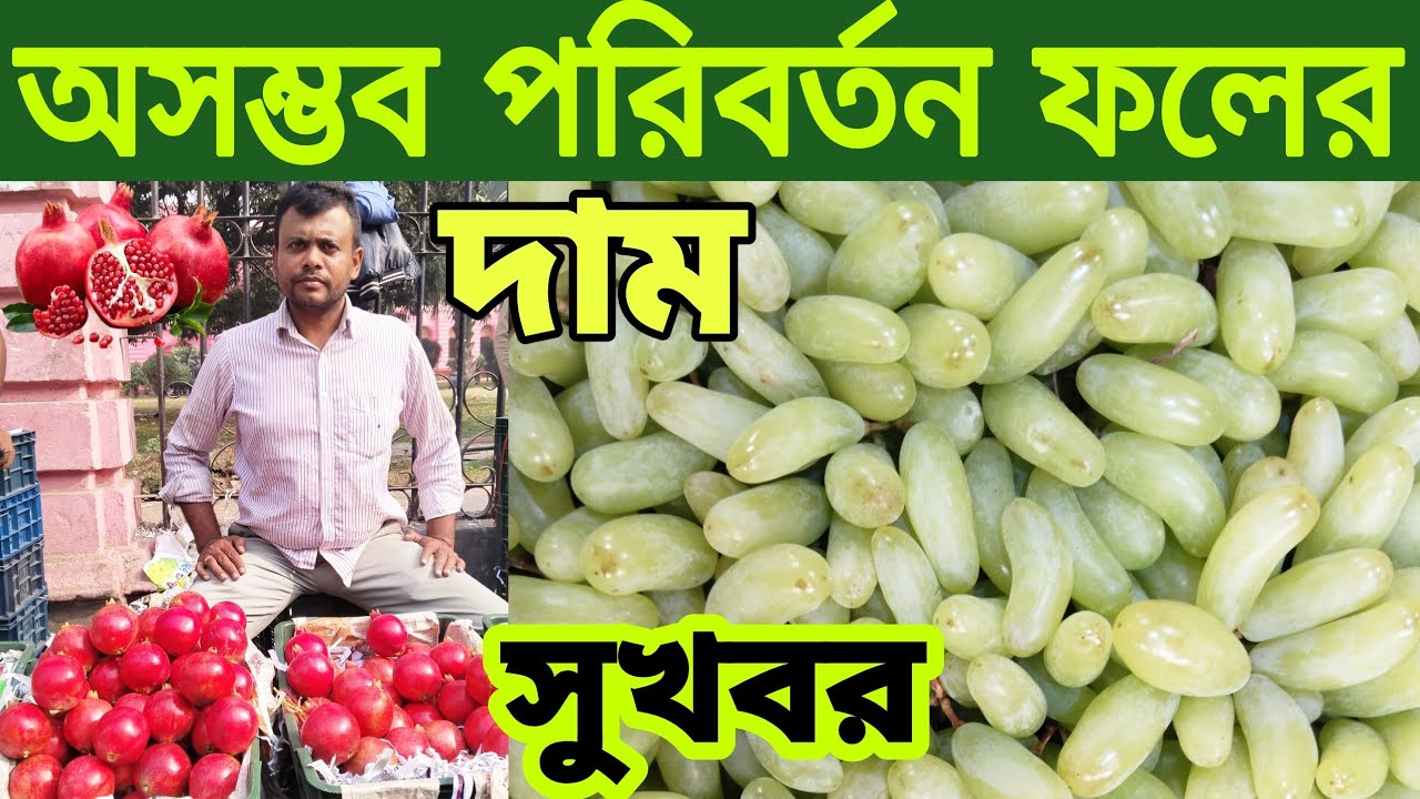 হঠাৎ কমে গেলো আনার ফল ও আঙ্গুর ফলের দাম। Today's pomegranate & Grapes
