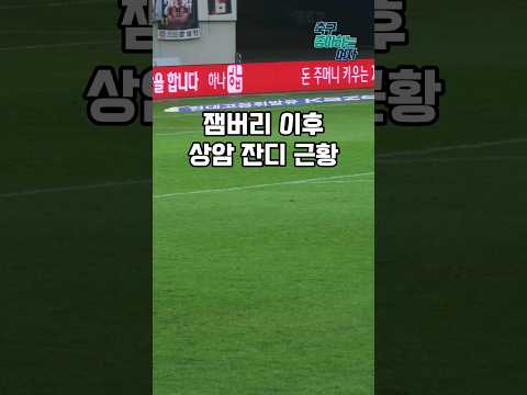 잼버리 이후 상암월드컵경기장 잔디 근황