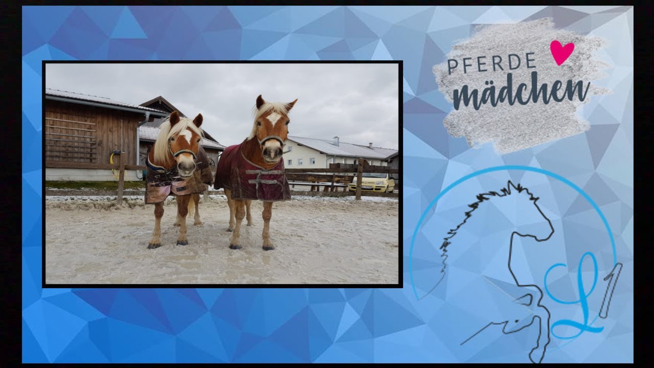 FMA + Meine Sattelkammer  // Ein Tag mit uns! - Lunschen1