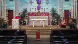 Saturday 5pm Mass LIVE!