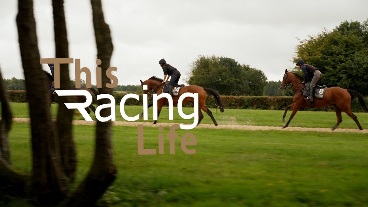 This Racing Life - A visit to Chasemore Stud ahead of sales season | Nicky Henderson | Jack Channon