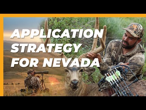 My Tag Application Strategy for Nevada