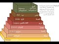 تاريخ التصنيف
