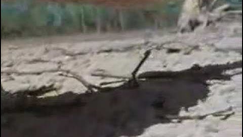 Cod 6 mw2 out of Rust [TUTORIAL] - Xbox360 & Ps3