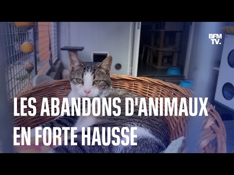 Inflation, vacances d'été: