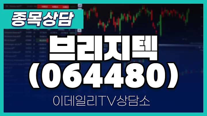 브리지텍(064480) - 종목상담 문현진 멘토 (20250107)