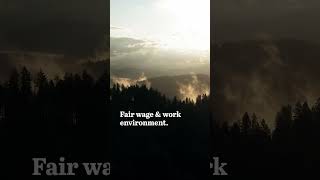 Its , And Were Fsc Chain Of Custody Certified. So Lets Talk Sustainability.