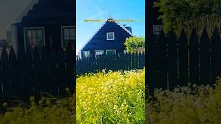🏡🌼#spring #nature #flowers #aesthetic #cottagecore #reels #calm #beautiful #asmr #fyp #shorts #viral