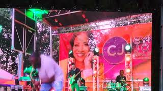 Huntsville Jazz in the Park 2023 (Great Show)