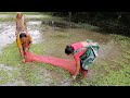 village fishing and cooking/ Bangladeshi village vlog /smell of village