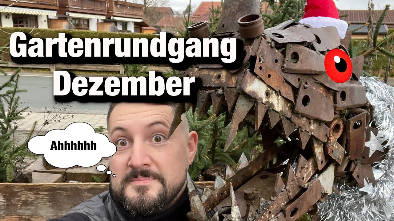Garten im Dezember, Versteckte Schätze, Frostkatastrophen & Weihnachtszauber