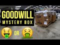 I Bought 3 Mystery Pallets From Goodwill | Was It Worth It?