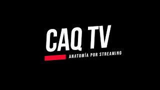 CAQ TV 2023: Mostración asistida de abdomen