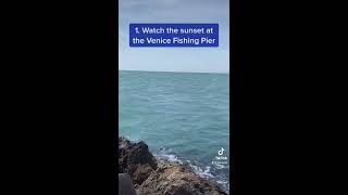 Things To Do In Venice Florida!