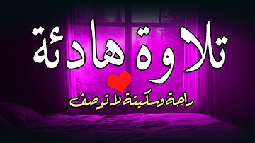 تلاوة هادئة للمساعدة على نوم عميق بسرعة - قران كريم بصوت جميل جدا جدا قبل النوم 😌 راحة نفسية لا توصف